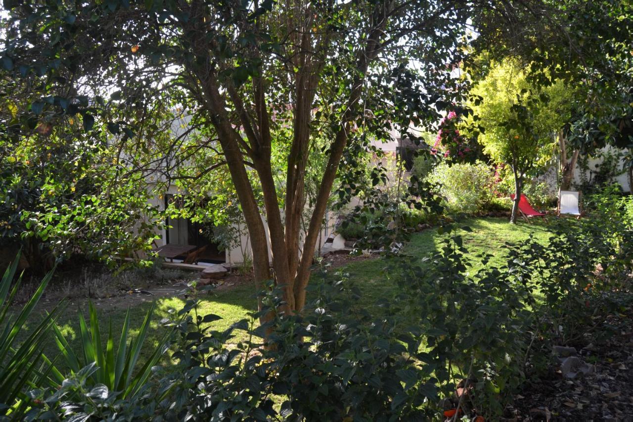 Garden In The City Silves Eksteriør bilde
